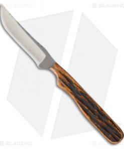 Anza Knives NK-ABJ Fixed Blade Knife Amber Jigged Bone (3.25" Satin)