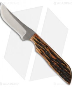 Anza Knives WK-3AJB Fixed Blade Knife Amber Jigged Bone (2.75" Satin)