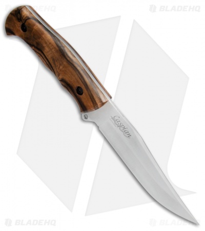 Kizlyar Supreme Knives Caspian Fixed Blade Knife Walnut (5.375" Satin) - Image 2