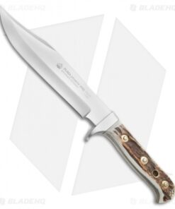 Puma Phoenix Bowie Fixed Blade Knife Stag (8" Satin) 116376
