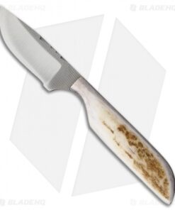 Anza Knives 81-FE Fixed Blade Knife Full Elk (2.5" Satin)