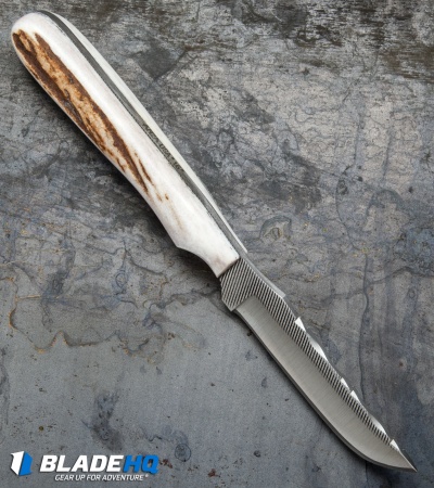 Anza Knives NK-FE Fixed Blade Knife Stag Horn (3.25" Satin) - Image 2