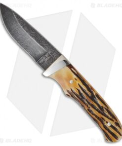 Bear Cutlery Damascus India Stag Bone Pro Skinner Knife (3.625" Plain) 549D