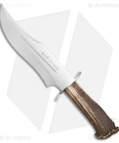 Muela Lobo Bowie Fixed Blade Knife Crown Stag (9.1" Satin)